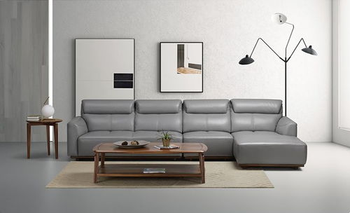 中國家具市場真皮沙發推薦