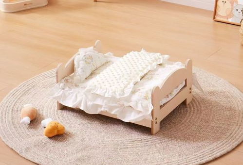 泰國 星暹日報 帶娃式 養(yǎng)寵為寵物經(jīng)濟增值加碼